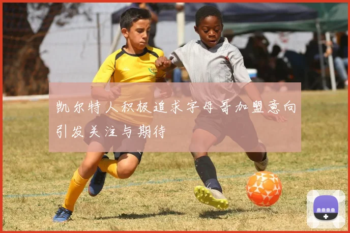 凯尔特人积极追求字母哥加盟意向引发关注与期待