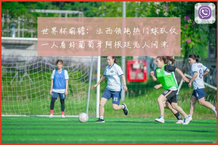 世界杯前瞻：法西领跑热门球队仅一人看好葡萄牙阿根廷无人问津